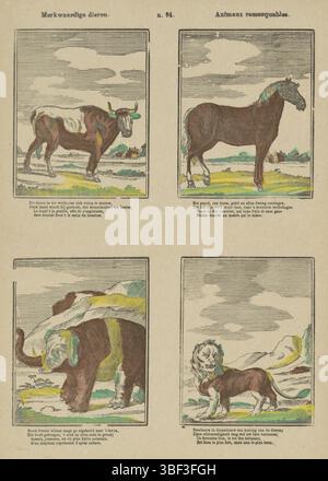 Europa, Turnhout, Beersmaens, Franciscus Antonius, lustige Tiere, animaux remarquables, Europa, verso - gestempelt, Blatt mit 4 Tieren: ein Ochse, ein Pferd, ein Elefant und ein Löwe. Unter jedem Bild eine zweizeilige Strophe auf Niederländisch und Französisch. Nummeriert Mitte oben: n. 94, Druck, Volksdrucke, Drucke, Höhe 425 mm, Breite 295 mm, Publikation (Ereignis), Publikation, 1840-06-14 - 1897-01-25, Verlag, 1866 - 1902, Papier, Holzschnitt, Farben, Buchdruck, Bookprint, Printmaker, Printmaker Stockfoto