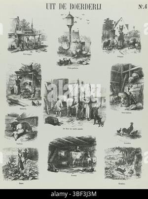 Amsterdam, de Ruyter & Meijer, Meijer's Prints, from the Farm, Amsterdam, verso - gestempelt, Blatt mit 11 Darbietungen von Nutztieren und Hofszenen. Unter jedem Bild eine Beschriftung. Nummeriert oben rechts: Nr. 4., Druck, Folk Prints, Drucke, Höhe 425 mm, Breite 341 mm, Publikation (Event), Publikation, Niederländisch, Verlag, 1873 - 1873, Papier, Lithografie (Technik), Buchdruck, Buchdruck, Drucker, Drucker Stockfoto