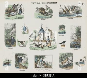 Amsterdam, de Ruyter & Meijer, Meijer's Prints, from the Farm, Amsterdam, verso - gestempelt, Blatt mit 15 Darbietungen von Nutztieren und Hofszenen. Unter jedem Bild eine Beschriftung. Nummeriert oben rechts: Nr. 10., Druck, volkstümliche Drucke, Drucke, Höhe 337 mm, Breite 409 mm, Publikation (Event), Publikation, Niederländisch, Verlag, 1873 - 1873, Papier, Lithografie (Technik), Farben, Buchdruck, Bookprint, Printmaker, Printmaker Stockfoto