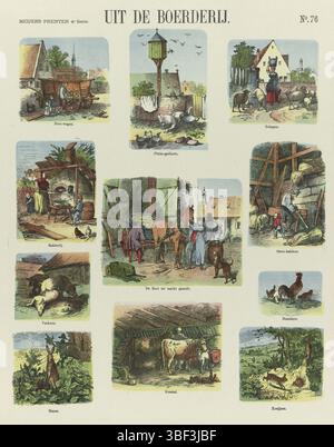Amsterdam, de Ruyter & Meijer, Meijer's Prints, from the Farm, Amsterdam, verso - gestempelt, Blatt mit 11 Darbietungen von Nutztieren und Hofszenen. Unter jedem Bild eine Beschriftung. Nummeriert oben rechts: Nr. 76., Druck, Folk Prints, Drucke, Höhe 429 mm, Breite 341 mm, Publikation (Event), Publikation, Niederländisch, Verlag, 1881 - 1881, Papier, Farblithographie (Verfahren), Buchdruck, Printmaker, Printmaker Stockfoto