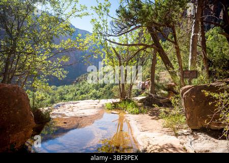 Die Smaragdbecken und Schild warnen vor einer gefährlichen Klippe im Zion National Park, Utah Stockfoto