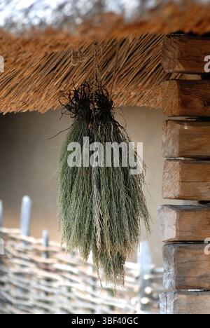 Bündel getrockneter Kräuter unter einem Strohdach – traditionelle Konservierungsmethode Stockfoto