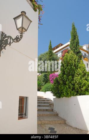 Enge gemütliche Straße mit Treppen und weiß getünchten Häusern in der Altstadt von Altea. Kleine malerische Stadt Altea in der Nähe des Mittelmeers, Provinz Alicante, Spanien Stockfoto