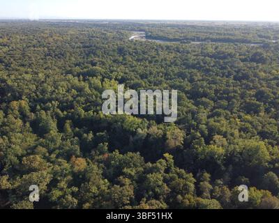 Ein Blick aus der Vogelperspektive auf den Fluss Tessin in Norditalien, der sich durch einen üppig grünen Korridor von Bäumen schlängelt und die Natur von einem Vogel aus zeigt Stockfoto