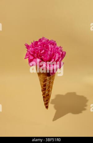 Eiskegel mit rosa Pfingstrosenblüte auf gelbem Hintergrund. Minimales Natursommerkonzept. Flache Lagen Stockfoto