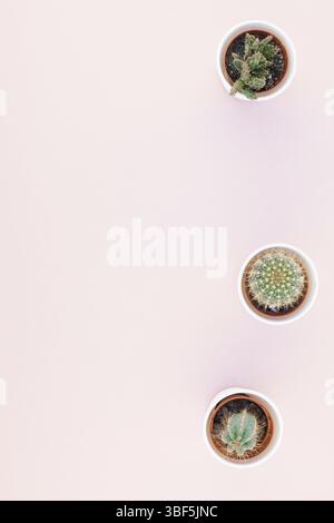 Kreative flach overhead Draufsicht kleine Töpfe mit dekorativen Kakteen Pflanzen mit Kopie Speicherplatz auf Tausendjährigen rosa Papier Hintergrund in minimalistischem Stil Stockfoto