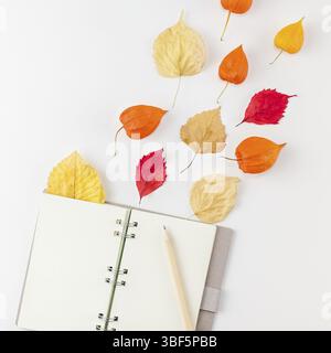 Kreative, oben flach Herbst Zusammensetzung Notebook getrocknete orangen Blüten Hintergrund Blätter kopieren Platz Square Template Editor mockup Herbsternte t Stockfoto
