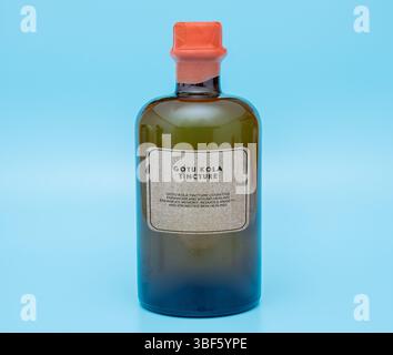 Gotu-Kola-Tinktur. Kognitiver Enhancer und Wundheilung. Verbessert das Gedächtnis, reduziert Ängste und fördert die Heilung der Haut. Stockfoto