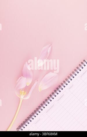 Rosa Tulpe mit offenen leeren Schreibtisch Planner auf einem rosa Hintergrund. Flach Ansicht von oben. Hochzeit Romantische Liebe Feder Konzept Stockfoto