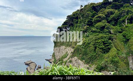 Eine zerklüftete Klippe an der Südküste der Insel Enoshima in Japan. Stockfoto
