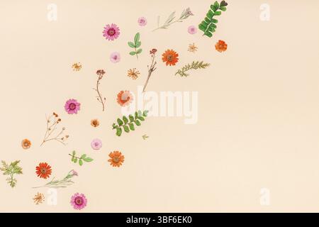 Kreative, oben flach Herbst Komposition. Rahmen aus getrockneten Blüten und Blätter auf farbiges Papier Hintergrund mit kopieren. Vorlage für den Herbst har Stockfoto