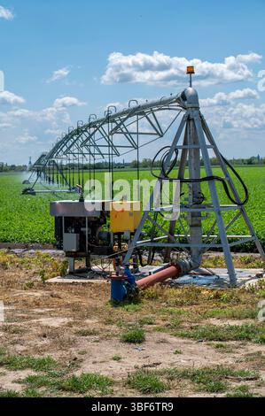 Center Pivot Bewässerungssystem in Kartoffelfeldern. Kartoffelfeld, bewässert durch eine schwenkbare Sprinkleranlage. Stockfoto