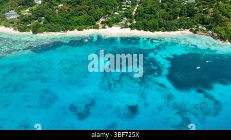 Blick aus der Vogelperspektive auf einen ruhigen Strand mit üppigem Grün und kristallklarem Wasser, das von türkisfarbenem zu tiefblauem Wasser übergeht. Praslin, Seychellen. Stockfoto