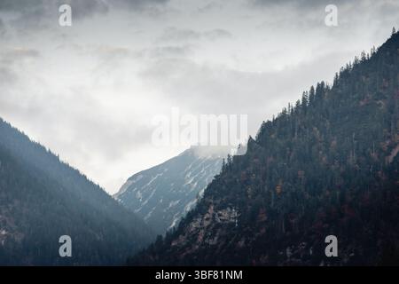 Abenddämmerung in den tiroler alpen: Dunkle Berge in den Wolken. Waldbedeckte niedrige Berge vor felsigen Berggipfeln, die von Nebel bedeckt sind. Stockfoto