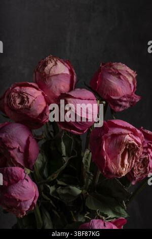 Strauß rosa verwelkter Rosen auf dunklem Hintergrund, Nahaufnahme Stockfoto