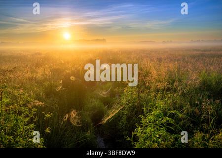 Wunderschöner nebeliger Morgen über den Feldern, die mit Spinnennetzen bedeckt sind Stockfoto