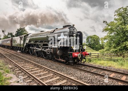 Dampfzug Tornado 60163 als WestYorkshireman, der am 31. Mai 2025 von Hellifield nach Carlisle fuhr. Stockfoto