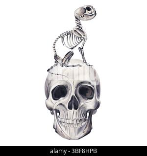 Das Tierkelett sitzt auf einem Schädel. Katzenskelett auf einem menschlichen Kopf. Einfarbige Aquarellabbildung. Turm der Knochen. Mystik und Gotik. Hexerei Stockfoto