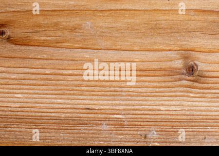 Nahaufnahme einer horizontal ausgerichteten Holzplanke mit markanten Kornlinien und zwei sichtbaren Knoten. Das Holz ist hellbraun mit dunkelbrauner Körnung. Stockfoto
