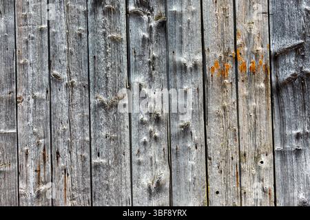 Nahaufnahme einer verwitterten Holzwand mit vertikalen Dielen in Grautönen mit sichtbaren Knoten, Körnung und Spuren von orangen Verfärbungen. Stockfoto