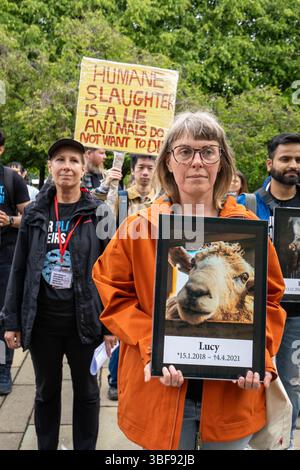 Glasgow, Schottland, Großbritannien. 31. Mai 2025. Animal Liberation Scotland hielt eine stille Demonstration zum National Animal Rights Day (NARD) ab. Ziel dieser jährlichen Veranstaltung ist es, Tiere zu ehren, die durch menschliches Handeln gelitten oder gestorben sind, für ihre Rechte einzutreten und das Bewusstsein für die Gewalt, Ausbeutung und Leiden zu schärfen, die Tiere in verschiedenen Industriezweigen ertragen, einschließlich der Lebensmittelproduktion, der wissenschaftlichen Tests und der Unterhaltung. Quelle: Cameron Scott/ZUMA Press Wire/ZUMA Wire/Alamy Live News Stockfoto