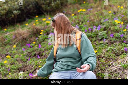 Junge Reisetücher mit grünem Sweatshirt und gelbem Rucksack sitzen auf einer lebendigen Bergwiese, umgeben von blühendem gelbem Trollius caucasicus und violettem Purpur Stockfoto