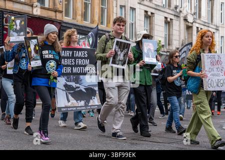 Glasgow, Schottland, Großbritannien. 31. Mai 2025. Stiller Marsch von Glasgow Green durch das Stadtzentrum und zurück im Rahmen des 15. Nationalen Tierschutztags (NARD). In mehr als 50 Ländern der Welt beobachtet, um allen Tieren eine Stimme zu geben und das Bewusstsein für ihre Rechte zu schärfen. Richard Gass/Alamy Live News Stockfoto