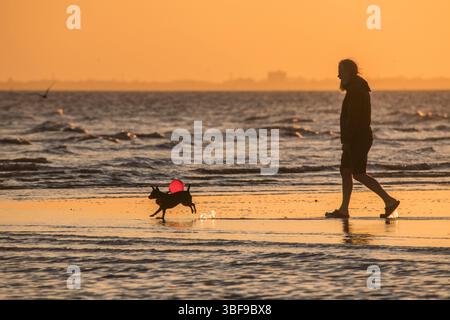 Menschen, die die Ebbe bei Sonnenuntergang genießen. Ein kleiner Hund mit einem roten Ballon, der auf dem Sand läuft. Mann, der mit Hund läuft. Brighton und Hove, East Sussex, England, Großbritannien Stockfoto