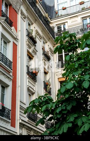 Aus nächster Nähe mit Blick auf die Balkone der Pariser Apartmenthäuser, dekoriert mit Topfpflanzen und Blumen, mit großen grünen Blättern in t Stockfoto