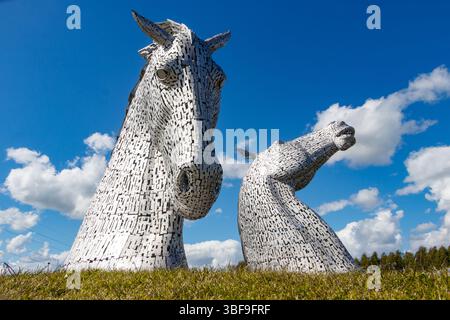 Die Kelpies Pferdekopf-Stahlskulptur, entworfen von Andy Scott unter einem blauen Himmel in Falkirk Schottland Stockfoto