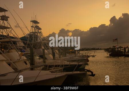 Sonnenaufgang am Whale Harbor Marina in Islamorada, Florida Keys Stockfoto