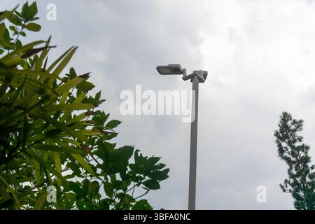 Ein flacher Blickwinkel einer Straßenleuchte mit Überwachungskamera inmitten von Grün und bewölktem Himmel, die eine Mischung aus Technologie und Natur einfängt. Stockfoto