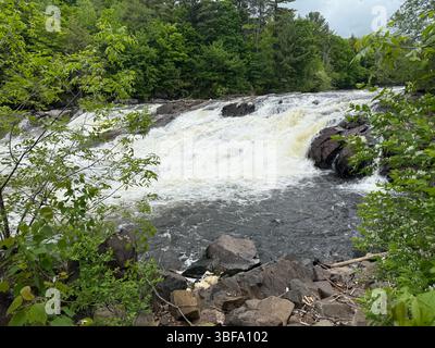Parc Régional de la Rivière-du-Nord, Quebec, Kanada Stockfoto