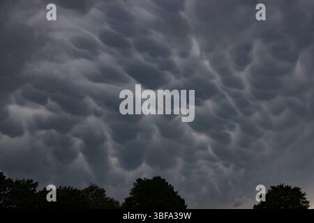 Am Nachmittag kommt es zu Regen im Siegerland. Mammatus-Wolken am Himmel ueber über Siegen. Im Vordergrund stehen Baeume Bäume. Fruehling Frühling im Siegerland am 31.05.2025 in Siegen/Deutschland. *** Nachmittags kommt es zu Regen im Siegerland Mamma Wolken am Himmel über Siegen im Vordergrund stehen Bäume Bäume Frühling im Siegerland am 31 05 2025 in Siegen Deutschland Stockfoto