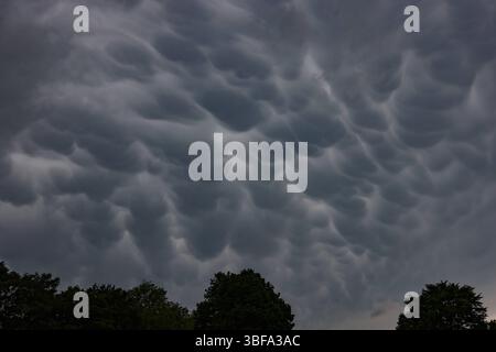 Am Nachmittag kommt es zu Regen im Siegerland. Mammatus-Wolken am Himmel ueber über Siegen. Im Vordergrund stehen Baeume Bäume. Fruehling Frühling im Siegerland am 31.05.2025 in Siegen/Deutschland. *** Nachmittags kommt es zu Regen im Siegerland Mamma Wolken am Himmel über Siegen im Vordergrund stehen Bäume Bäume Frühling im Siegerland am 31 05 2025 in Siegen Deutschland Stockfoto