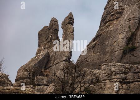 El Torcal - eine Karstlandschaft Stockfoto