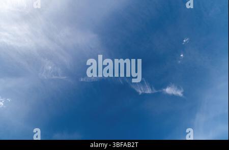 Die Struktur der Himmelswolken, Cirrus fibratus vertebratus. Die Feder am Himmel Stockfoto