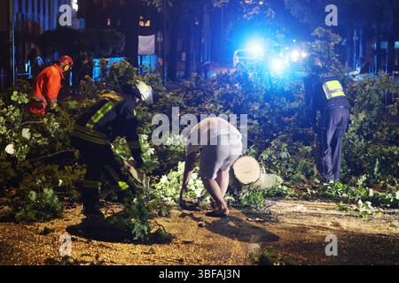 Krefeld, Deutschland. 31. Mai 2025. Feuerwehrleute, ein Polizist und ein Anwohner arbeiten an der Beseitigung von umgestürzten Bäumen in der Sprödentalstraße in Krefeld. Nach einem Gewitter mit starkem Wind und starkem Regen gab es mehrere Sperrungen aufgrund der umgestürzten Bäume und überfluteten Straßen. Quelle: David Young/dpa/Alamy Live News Stockfoto