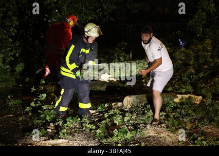Krefeld, Deutschland. 31. Mai 2025. Feuerwehrleute und ein Anwohner arbeiten an der Räumung von umgestürzten Bäumen in der Sprödentalstraße in Krefeld. Nach einem Gewitter mit starkem Wind und starkem Regen gab es mehrere Sperrungen aufgrund der umgestürzten Bäume und überfluteten Straßen. Quelle: David Young/dpa/Alamy Live News Stockfoto