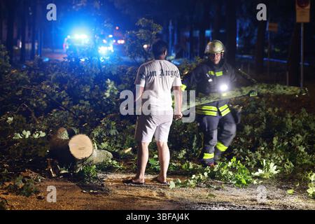 Krefeld, Deutschland. 31. Mai 2025. Ein Feuerwehrmann und ein Anwohner arbeiten an der Beseitigung von umgestürzten Bäumen in der Sprödentalstraße in Krefeld. Nach einem Gewitter mit starkem Wind und starkem Regen gab es mehrere Sperrungen aufgrund der umgestürzten Bäume und überfluteten Straßen. Quelle: David Young/dpa/Alamy Live News Stockfoto