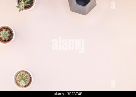 Kreative flach overhead Draufsicht kleine Töpfe mit dekorativen Kakteen Pflanzen mit Kopie Speicherplatz auf Tausendjährigen rosa Papier Hintergrund in minimalistischem Stil Stockfoto