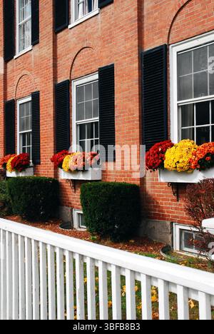 Herbstfenstergarten Stockfoto