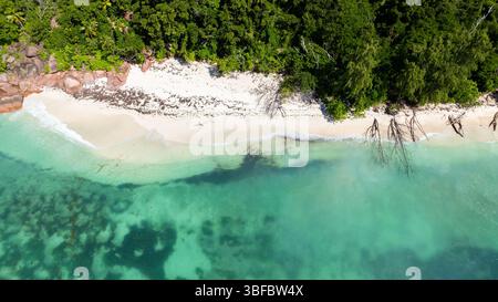 Ein unberührter Strand mit weichem, weißem Sand und lebhaftem türkisfarbenem Wasser, umgeben von einem dichten tropischen Wald. Stockfoto