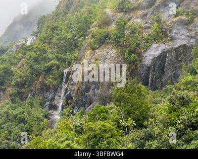Nebelige Landschaft neben dem Fox River auf dem Fox Glacier Valley Walk in South Island, Neuseeland Stockfoto