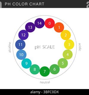 PH-Skala. Indikator für Indikationen, Messungen und Tabelle der Ergebnisse. PH-Analyse oder chemischer Test. Illustration des abgewickelten Vektors Stock Vektor