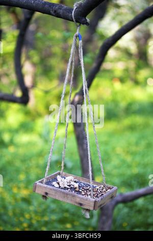 Vogelfutter aus Holz hängt am Baumzweig Stockfoto