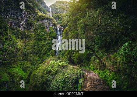Malerischer schmaler Levada-Wanderweg mit frischen Farnen im tropischen grünen Wald und dem berühmten Risco-Wasserfall im Hintergrund. Wanderweg Levada do Risco, Stockfoto