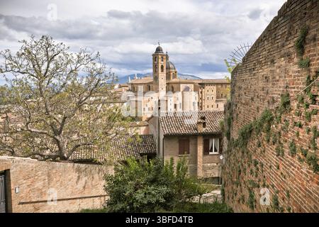 Altes Urbino, Italien, Stadtbild an langweiligen Tagen. Horizontal getöntes und vignettiertes Bild, Europa Stockfoto