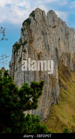 Der felsige Berggipfel erhebt sich vor blauem Himmel, zeigt geschichtete Geologie und üppige grüne Bäume und bietet eine atemberaubende natürliche Landschaft Stockfoto