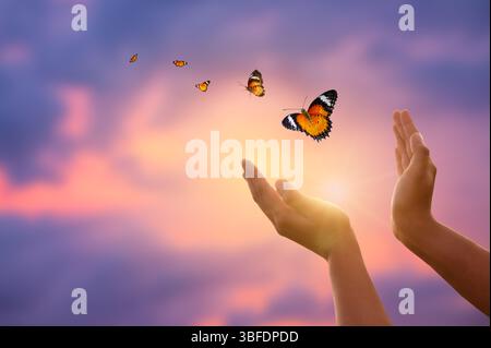 Fliegende Schmetterlinge und Hände auf abstraktem sonnigen natürlichen Hintergrund. Ende des Sommers Konzept. Freiheit. Begegnung mit Mensch und Natur. Harmonie, friedliche Atmosphäre Stockfoto